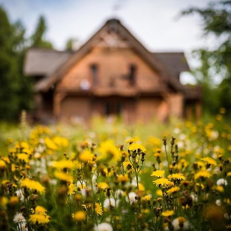 Bed and Breakfast Brzozowy Gaj Glowczyce Екстер'єр фото
