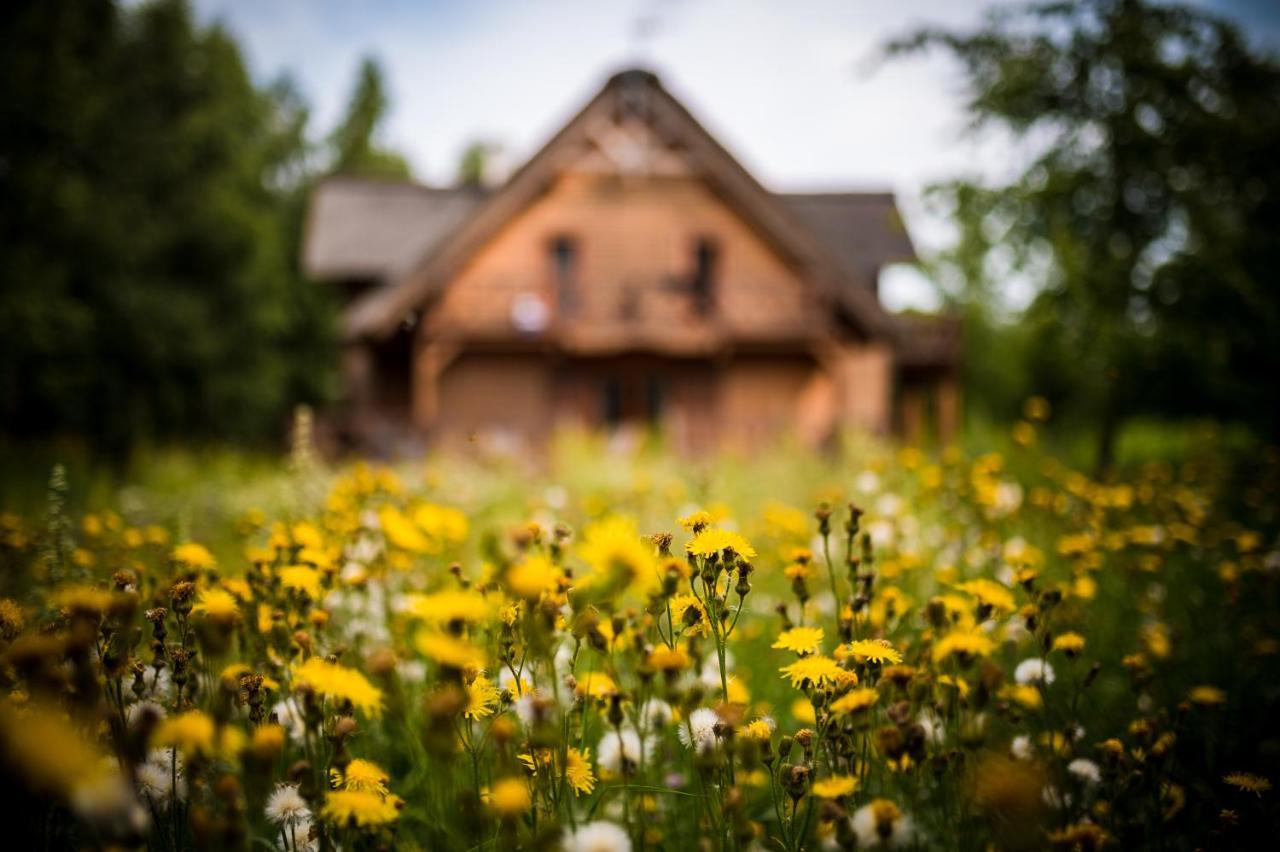Bed and Breakfast Brzozowy Gaj Glowczyce Екстер'єр фото