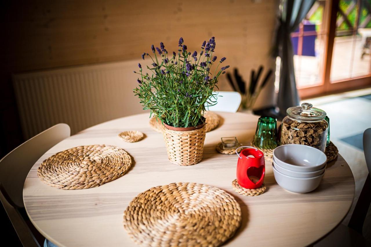 Bed and Breakfast Brzozowy Gaj Glowczyce Екстер'єр фото