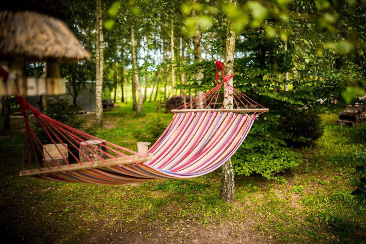 Bed and Breakfast Brzozowy Gaj Glowczyce Екстер'єр фото