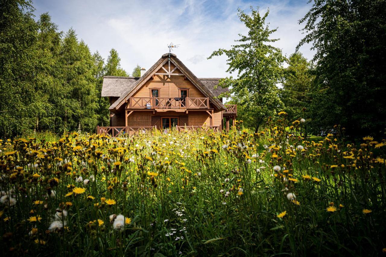 Bed and Breakfast Brzozowy Gaj Glowczyce Екстер'єр фото
