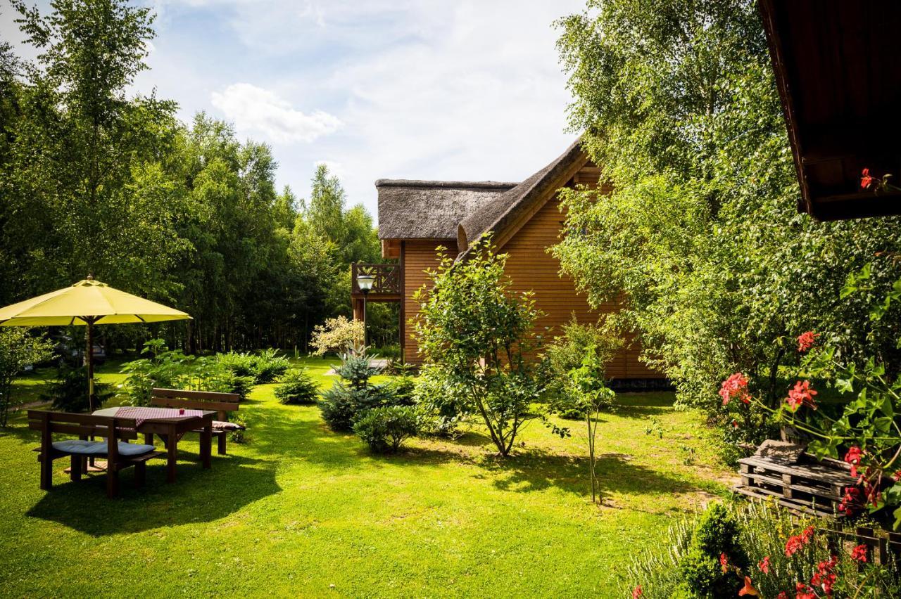 Bed and Breakfast Brzozowy Gaj Glowczyce Екстер'єр фото