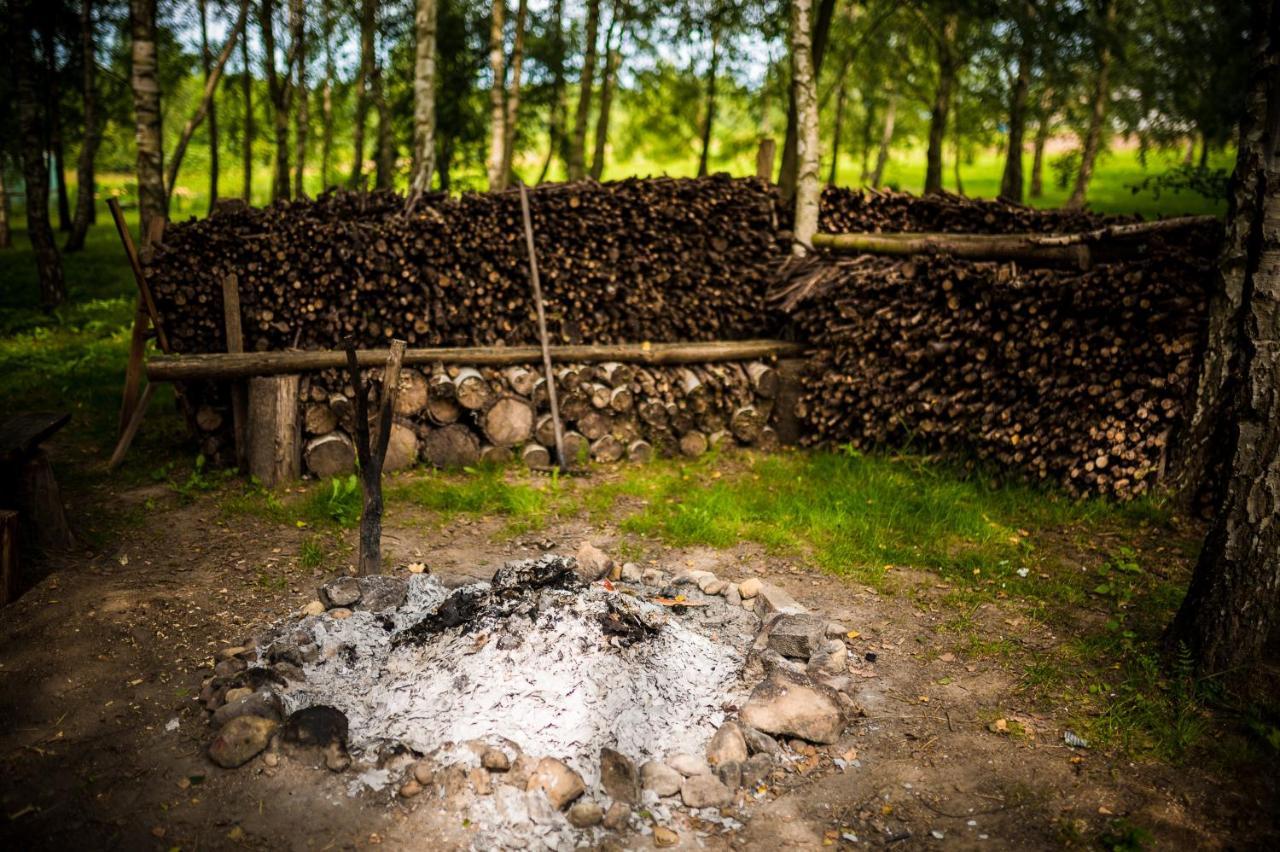 Bed and Breakfast Brzozowy Gaj Glowczyce Екстер'єр фото