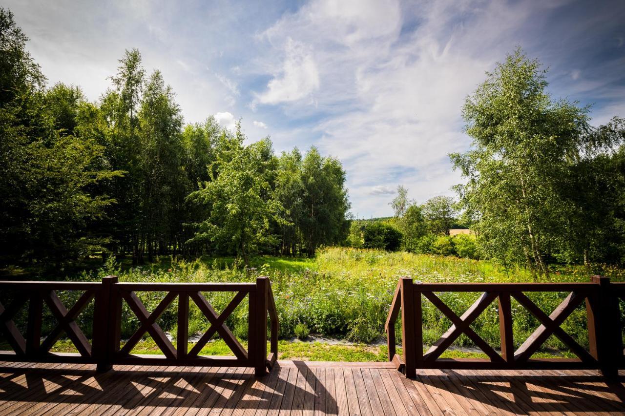Bed and Breakfast Brzozowy Gaj Glowczyce Екстер'єр фото